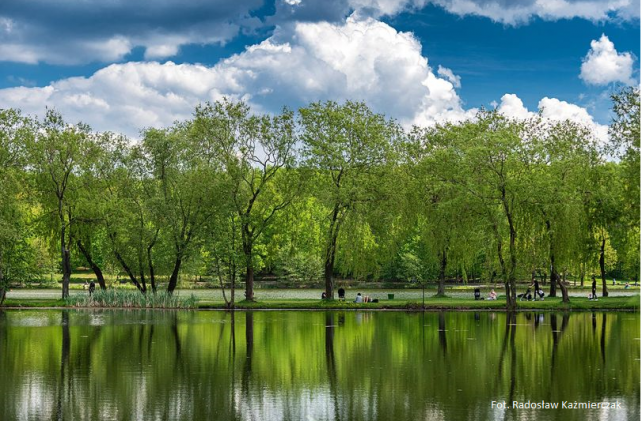 Katowice – city of clean air!