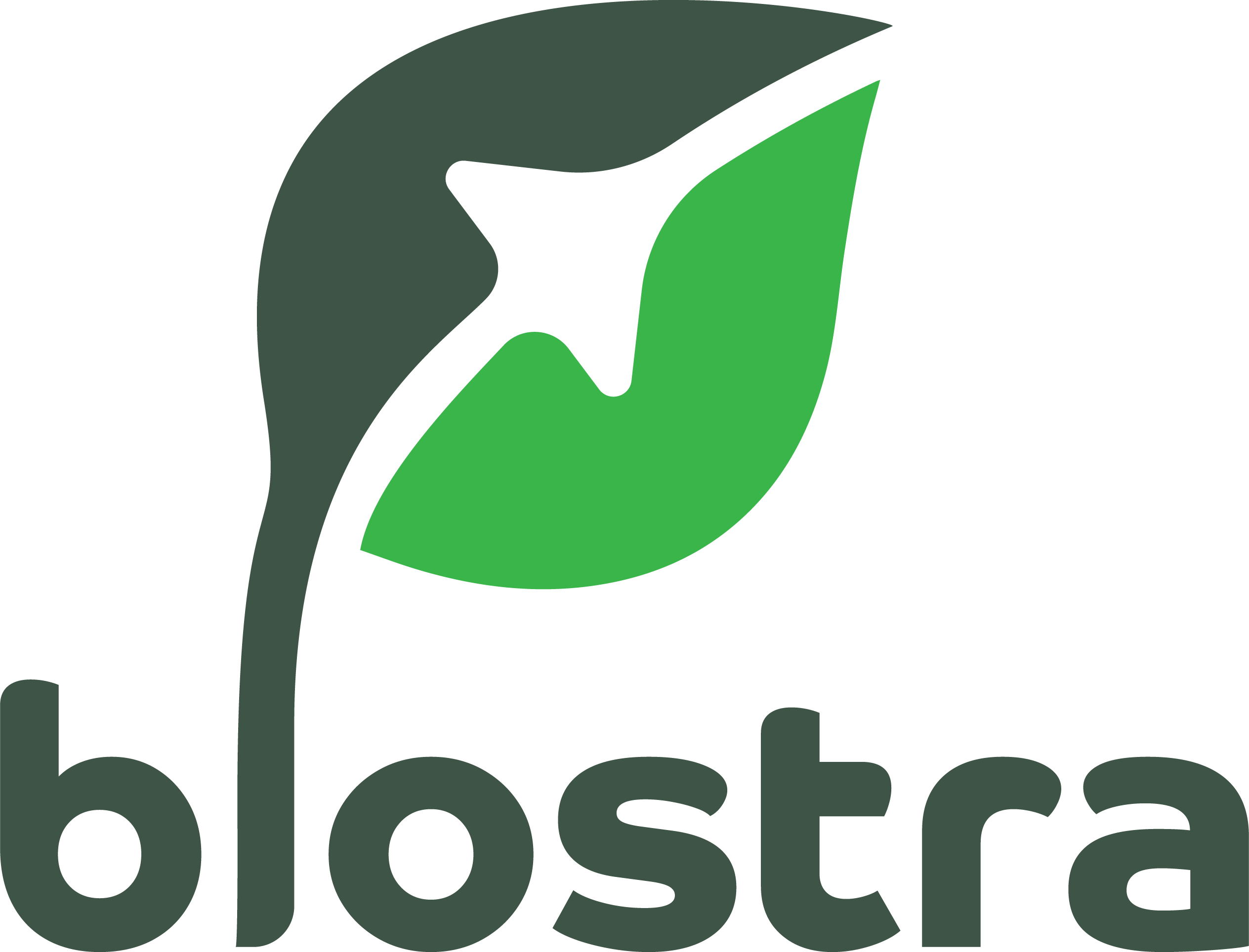 Biostra_logo_pozytywne_bezsloganu_1